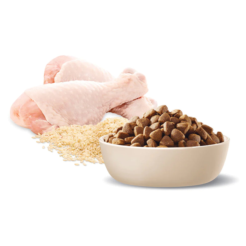 ADVANCE Triple Action Dental Care Medium Adult Dry Dog Food Chicken with Rice
