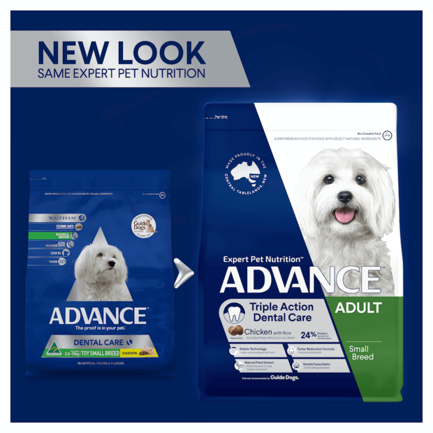 ADVANCE Triple Action Dental Care Small Adult Dry Dog Food Chicken with Rice