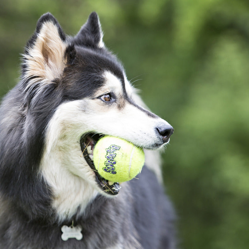 KONG Dog Toys SqueakAir Ball with Rope 03