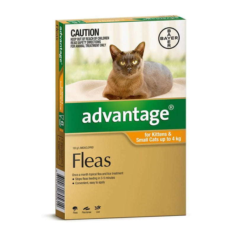Advantage Cat 0-4kg Orange 1 Pack