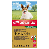Advantix carton for puppies and small dogs up to 4 kg, green pack, six pipettes