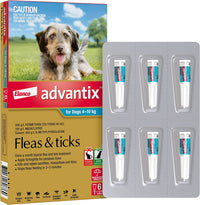 Advantix carton for dogs 4-10 kg, aqua pack, shown with a six-pipette blister card
