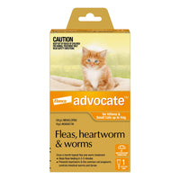Advocate carton for kittens and small cats up to 4kg, orange flash, single pack