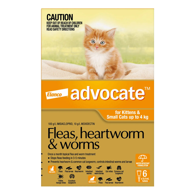 Advocate for Cats 0-4Kg Orange
