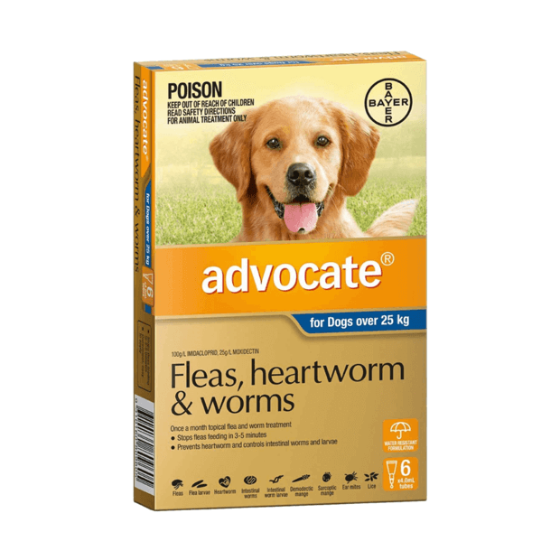 Advocate for Dogs over 25Kg Blue