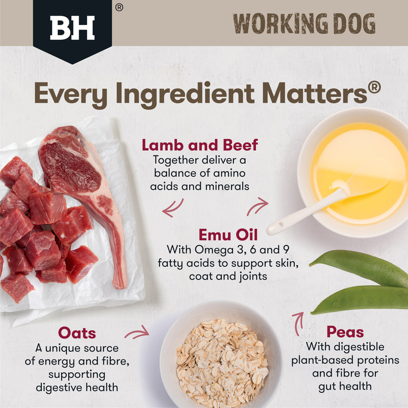Black Hawk Dry Dog Food Adult Working Dog Lamb & Beef 04
