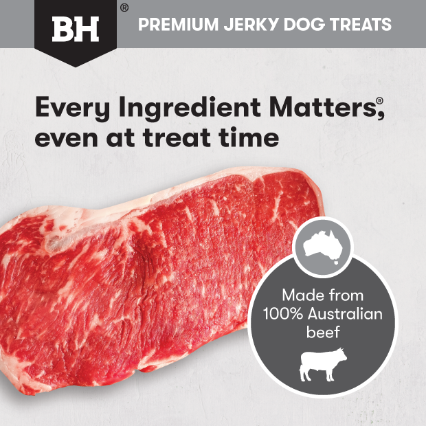 Black Hawk Dog Treats Beef Jerky Straps 04