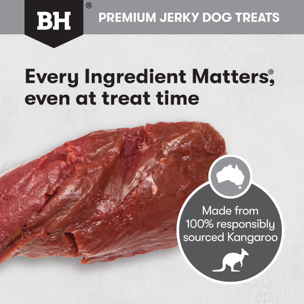 Black Hawk Dog Treats Kangaroo Jerky Straps 05