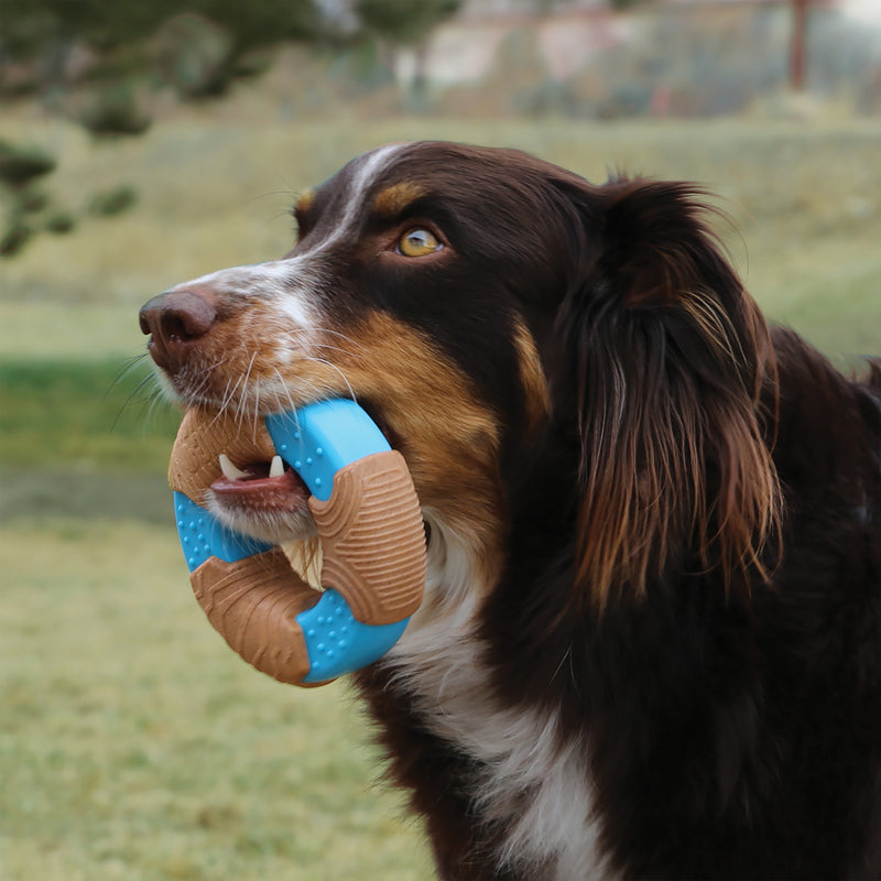 KONG Dog Toys CoreStrength Bamboo Ring 03