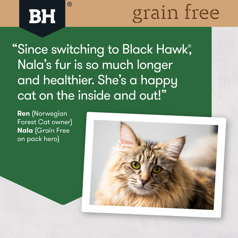 Black Hawk Dry Cat Food Grain Free Adult Chicken & Turkey 07