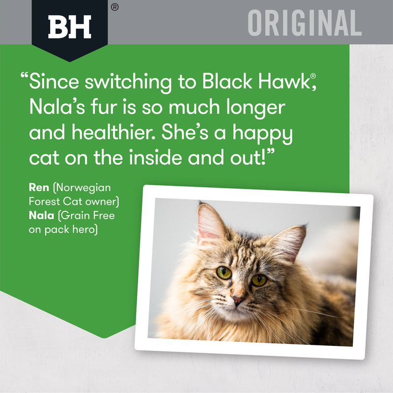 Black Hawk Dry Cat Food Original Adult Chicken & Rice 05