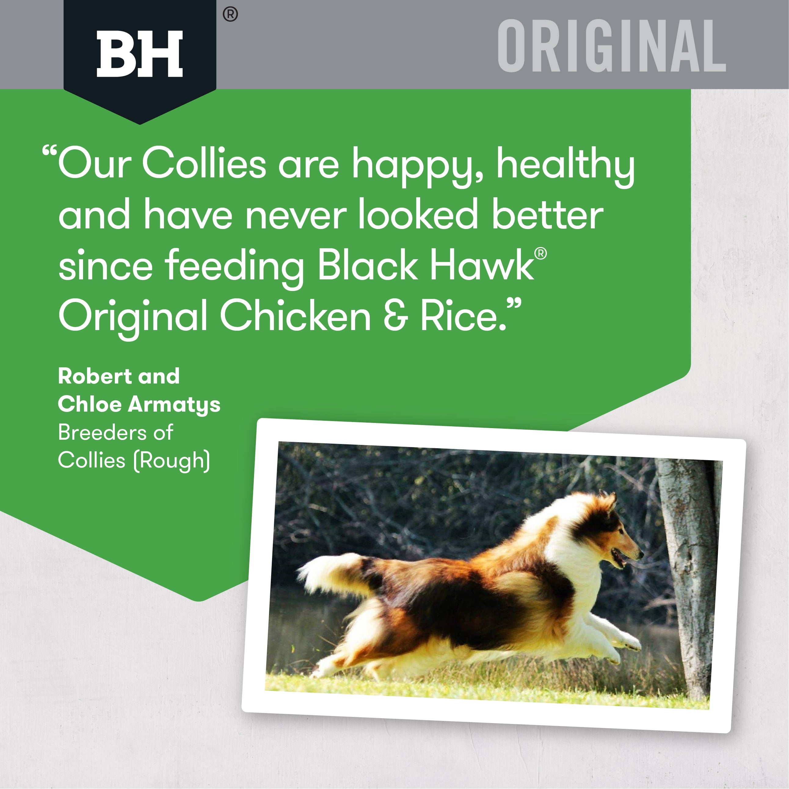 Black Hawk Dry Dog Food Original Adult Chicken & Rice 05