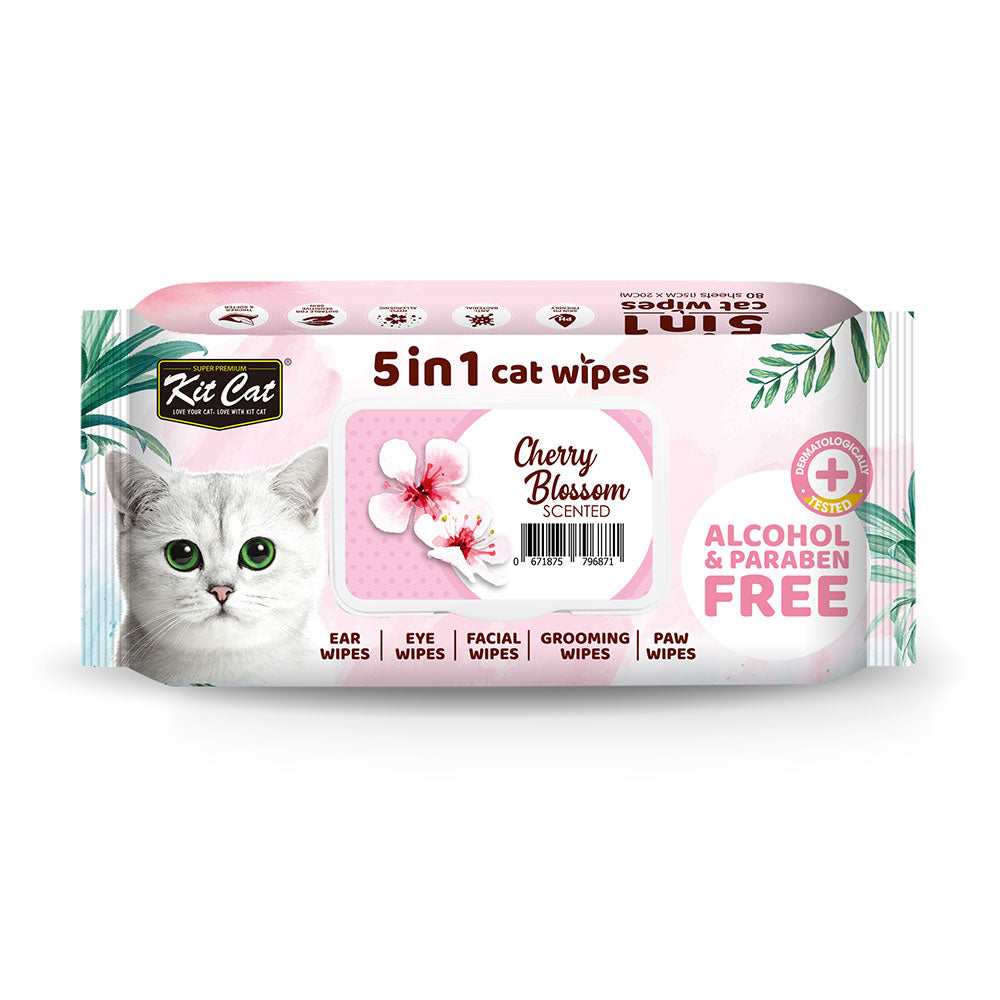 Kit Cat 5-in-1 Anti Bacterial Cat Wipes - 20 X15cm 80 Sheets