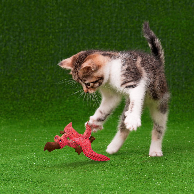 KONG Cat Toys Cat Dynos Assorted 05