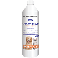 Troy Calcium Syrup 250ml