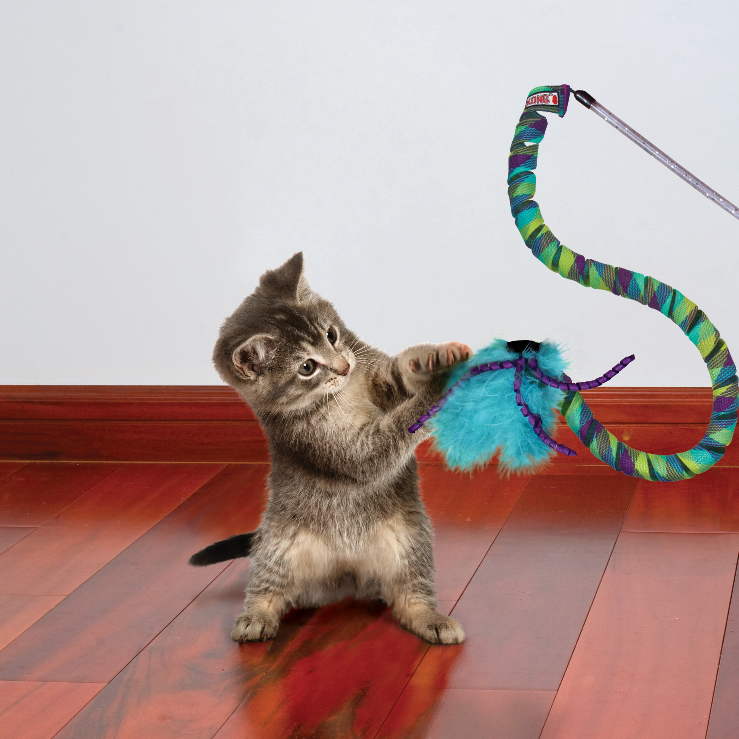 KONG Cat Toys Teaser Curlz 03