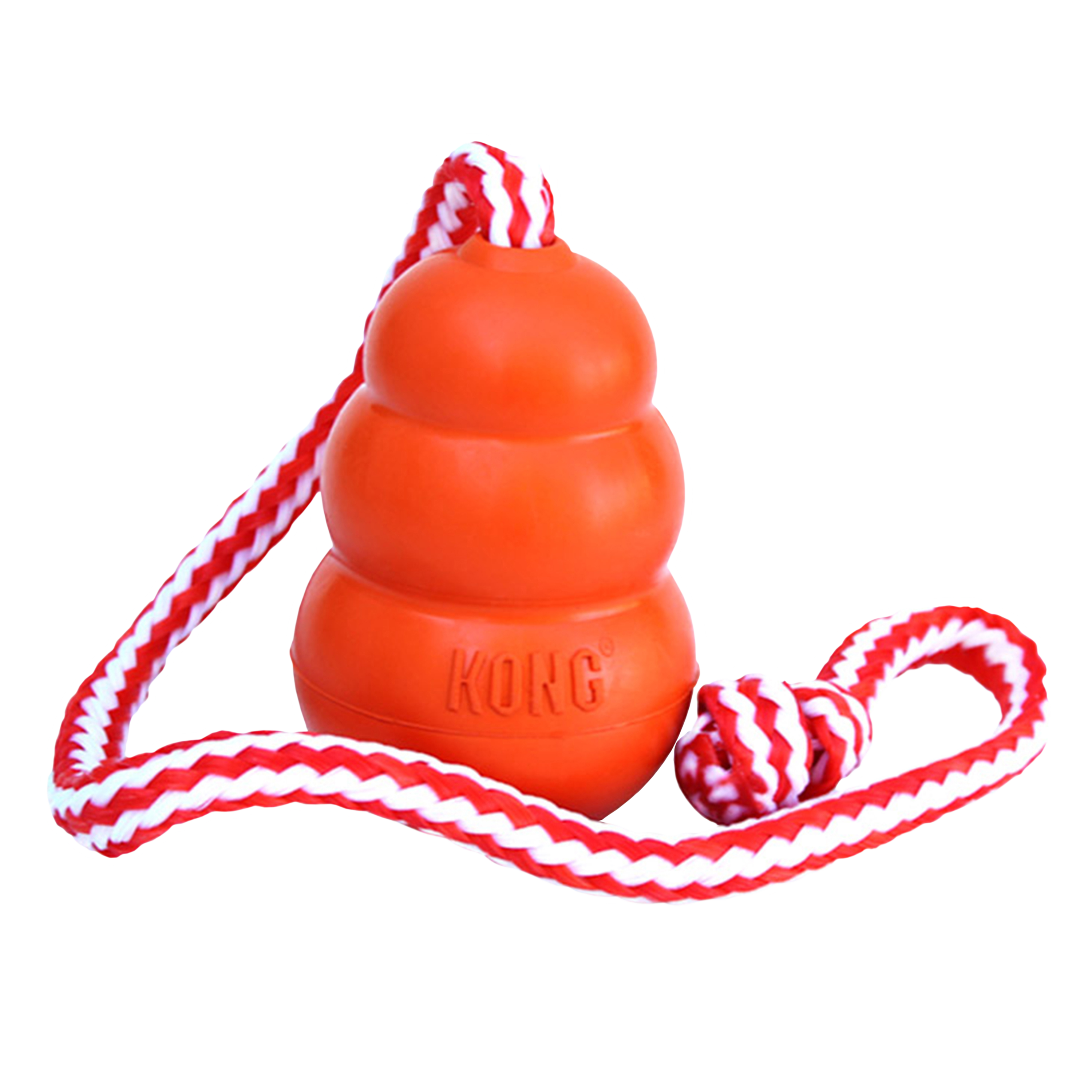 KONG Dog Toys Aqua 01