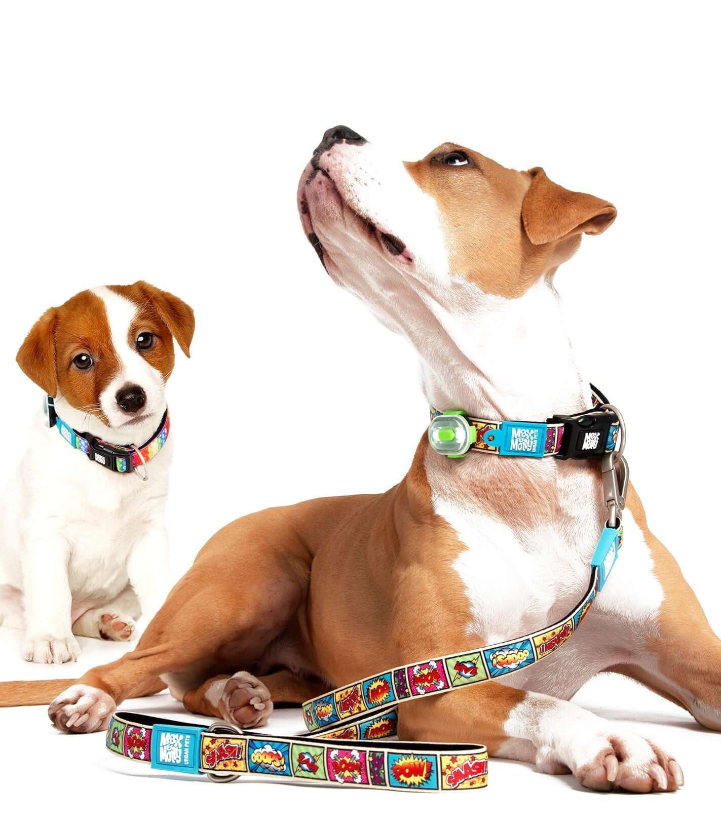 Max & Molly Dog Leash - Comic 03