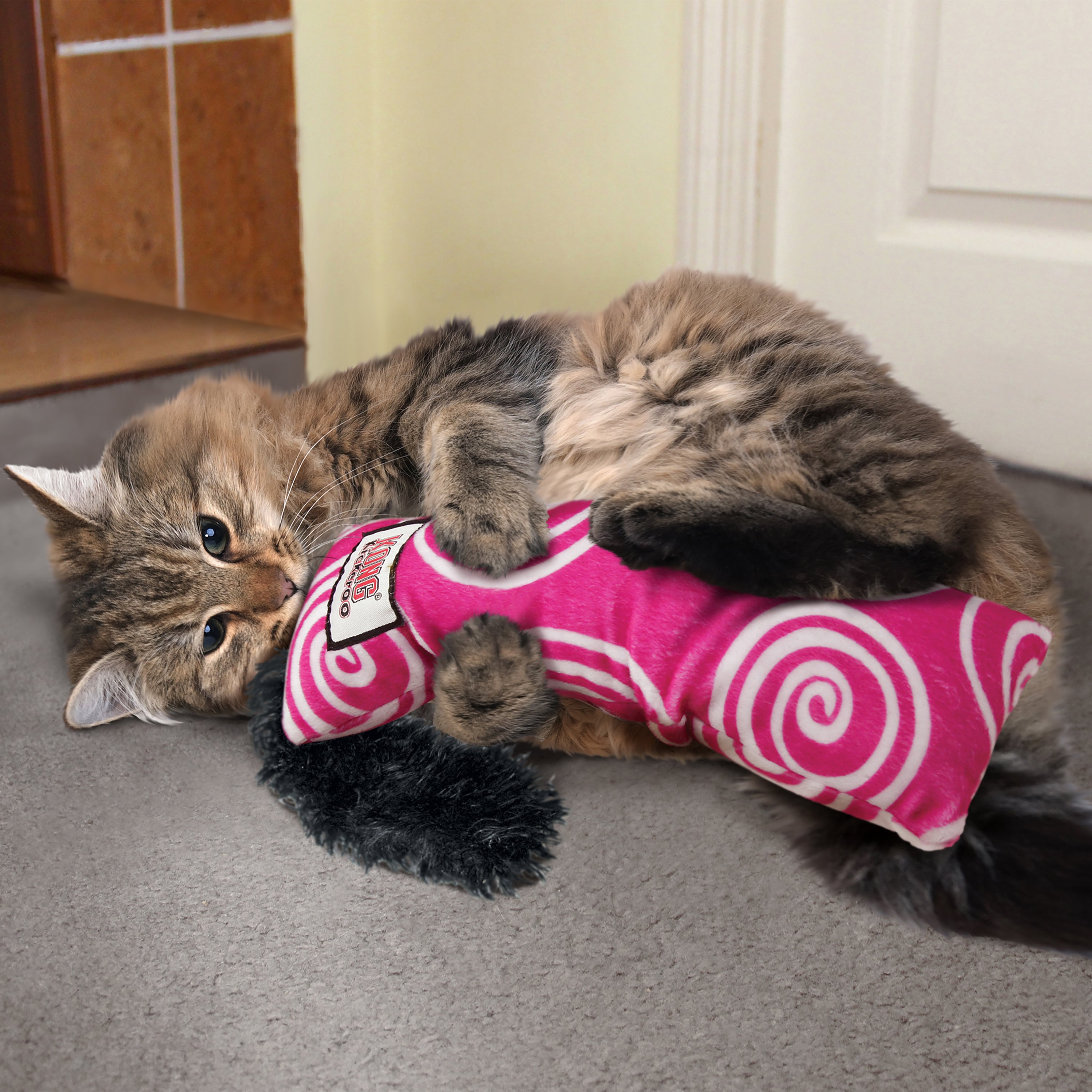 KONG Cat Toys Kickeroo Swirl Assorted 05