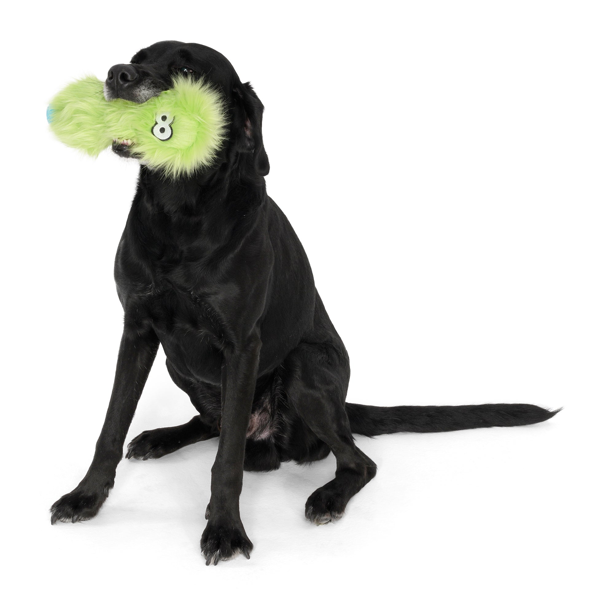 West Paw Rowdie Tough Plush Dog Toys Custer | PeekAPaw Pet Supplies