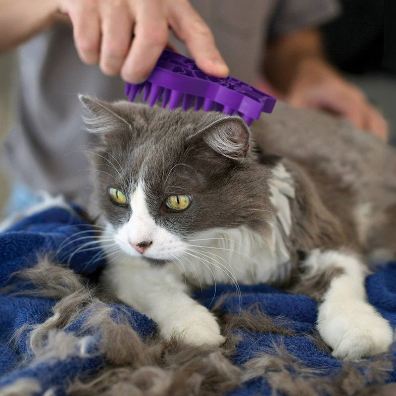 KONG Cat Toys ZoomGroom 03
