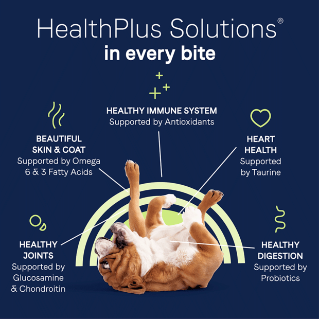 Canidae healthy sales weight dog food