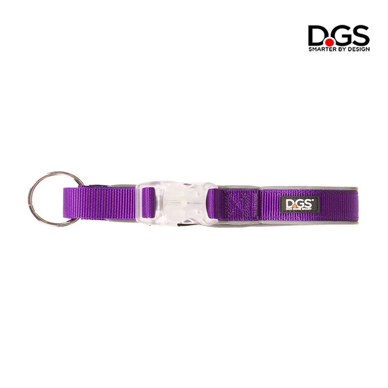 D.GS Dog Gone Smart Comet LED Safety Dog Collar - Medium Purple | PeekAPaw Pet Supplies