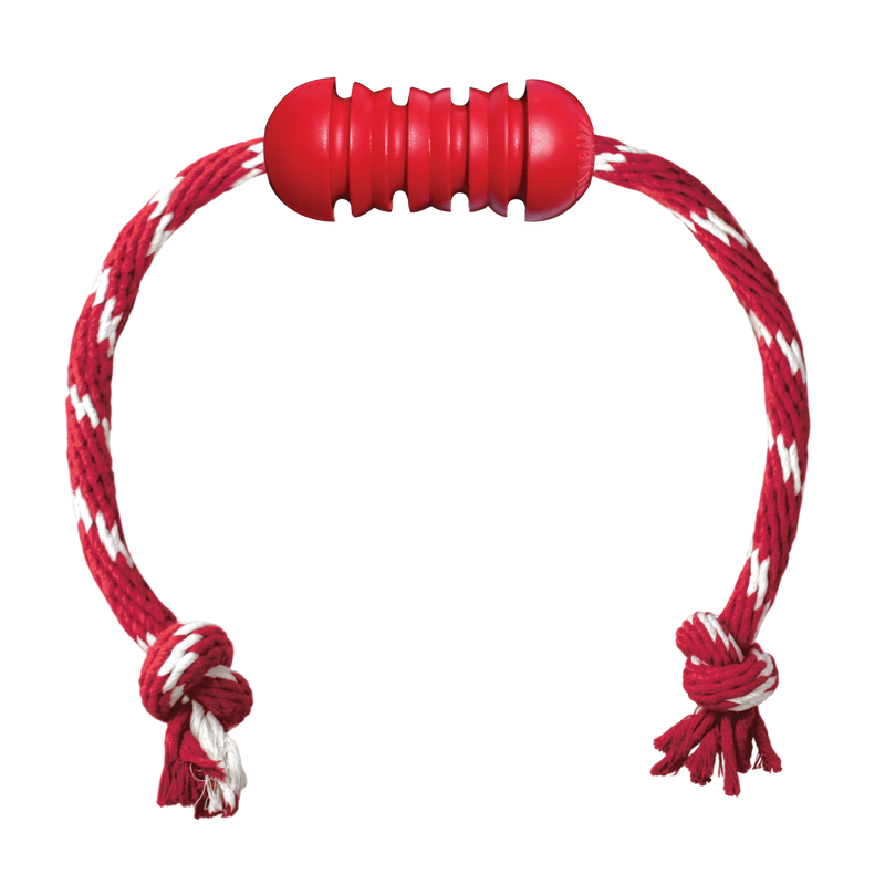 KONG Dog Toys Dental with Rope 01