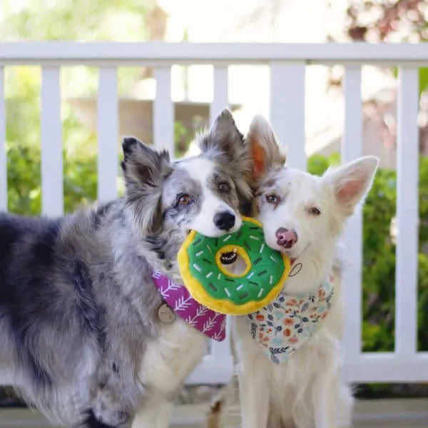 Zippy Paws Dog Toys Plush Donutz | PeekAPaw Pet Supplies