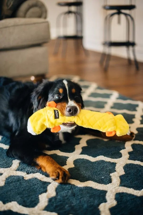 Zippy Paws Dog Toys Plush Jigglerz - Duck 04
