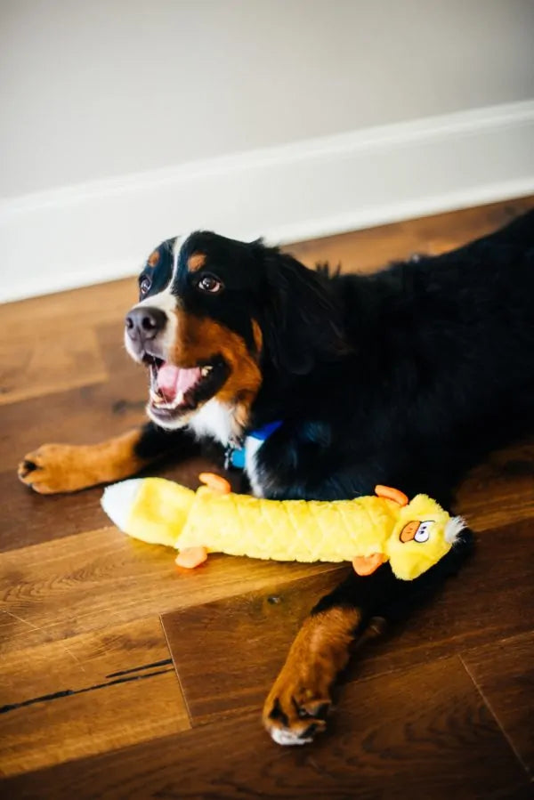 Zippy Paws Dog Toys Plush Jigglerz - Duck 05