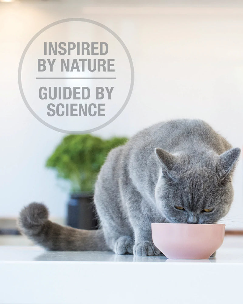 Feline Natural Freeze Dried Lamb Feast 03