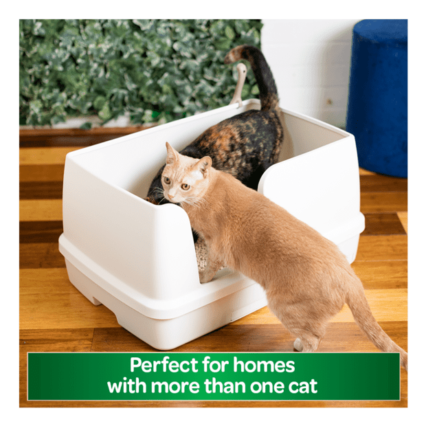 Ezi-LockOdour Dual Layer Cat Litter System XL Kit