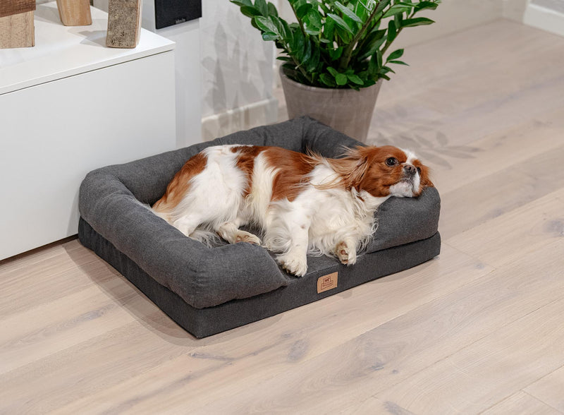 Ferplast Memor-One Dog Bed with Orthopedic Matress in Memory Foam 09