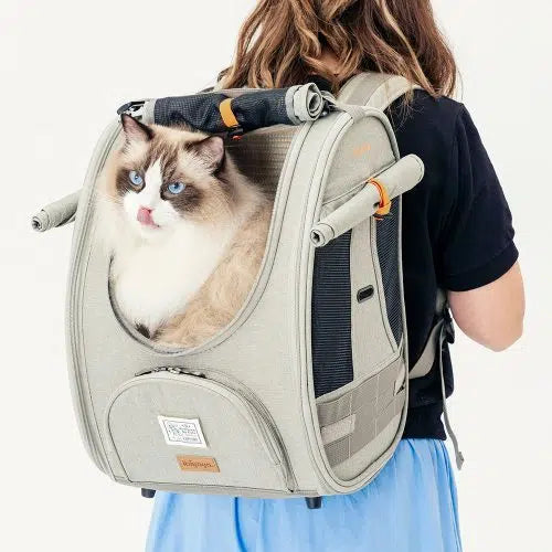 Ibiyaya Adventure Pet Carrier Backpack 10