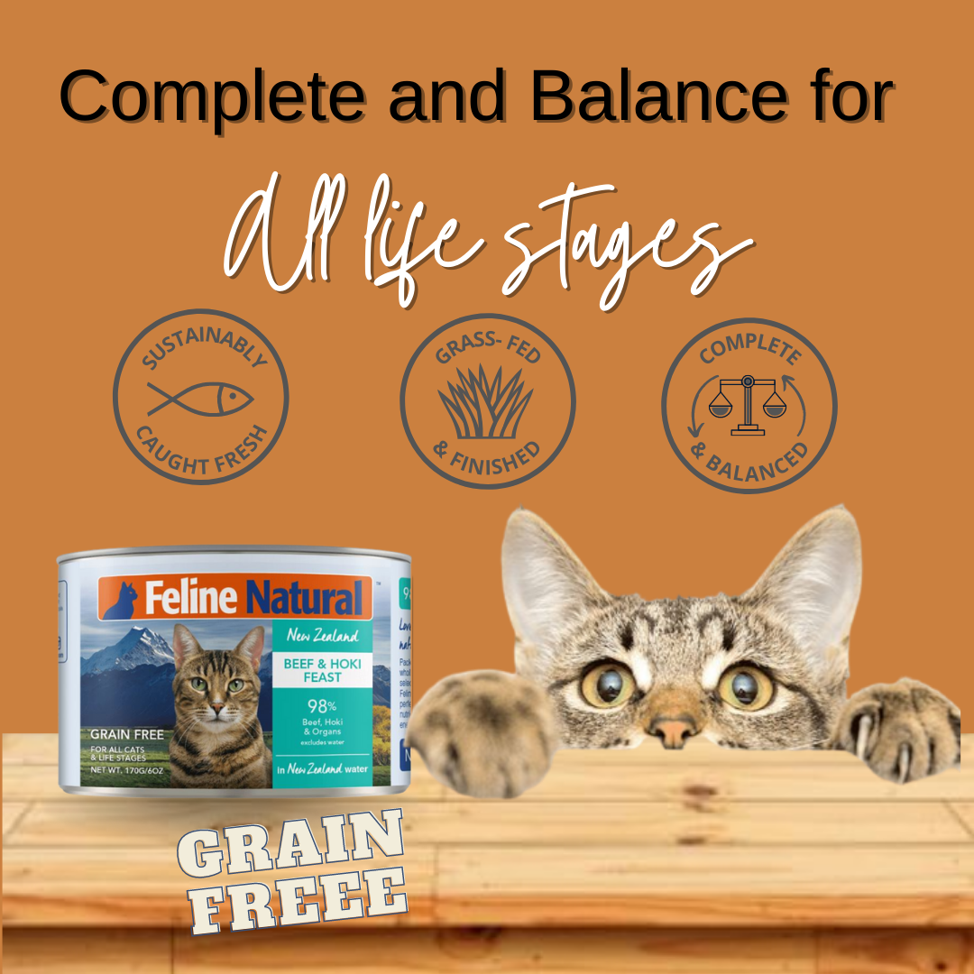 Feline Natural Canned Beef & Hoki 07