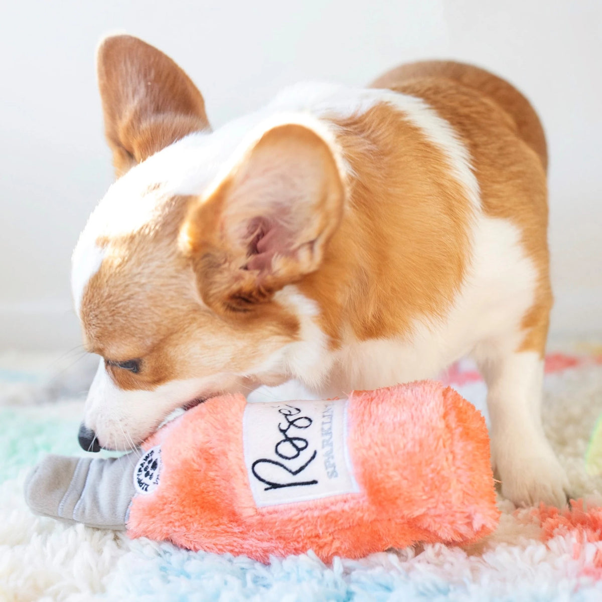 Corgi on a fluffy rug chewing a Zippy Paws Happy Hour Crusherz plush rose bottle dog toy