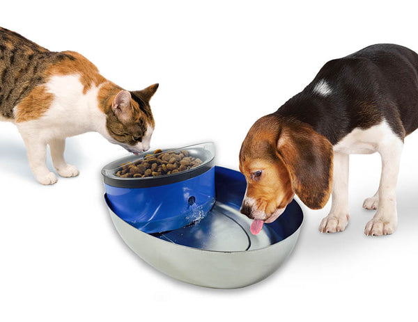 Pioneer Pet Stainless Steel and Plastic Water Food Bowl Drinking Fountain 1.18 Litres 6033