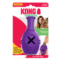 KONG Dog Toys Genius Leo Assorted 01