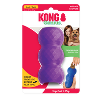 KONG Dog Toys Genius Mike Assorted 01