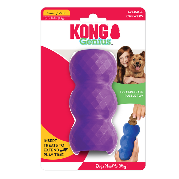 KONG Dog Toys Genius Mike Assorted 01