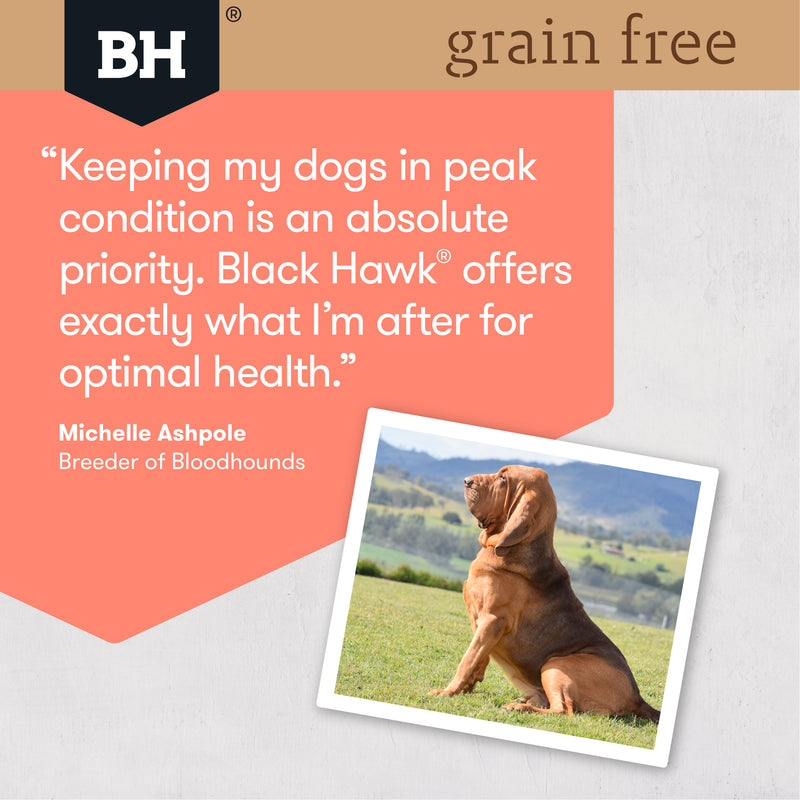 Black Hawk Dry Dog Food Grain Free Adult Tasmanian Salmon 05