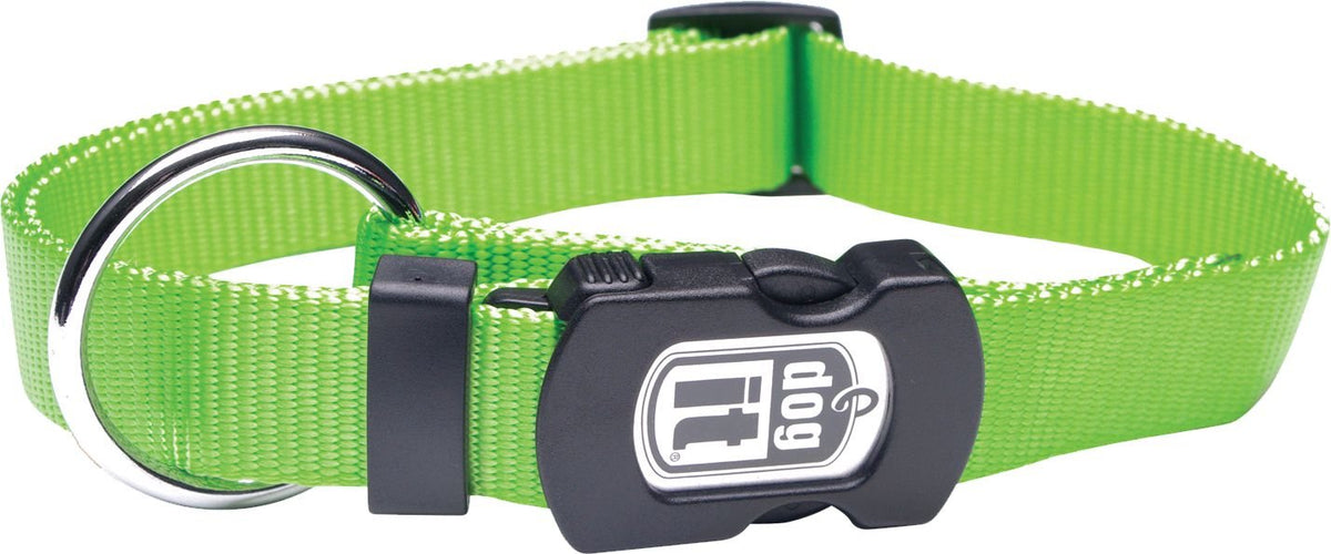 Green nylon dog collar with a quick-snap buckle
