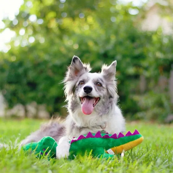 Zippy Paws Dog Toys Plush Grunterz - Alvin the Alligator 04