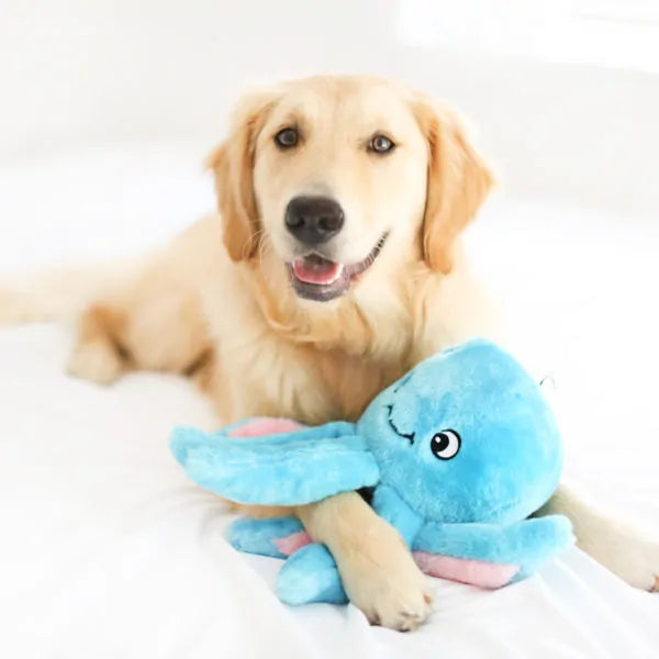 Zippy Paws Dog Toys Plush Grunterz - Oscar the Octopus 03