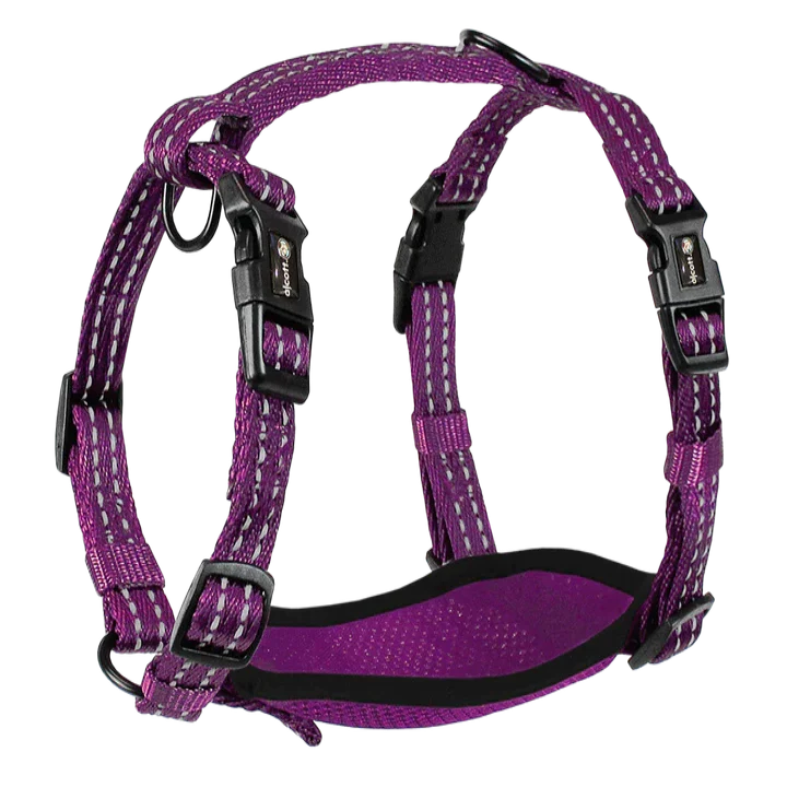 Alcott Adventure Nylon Dog Harness Set - Purple