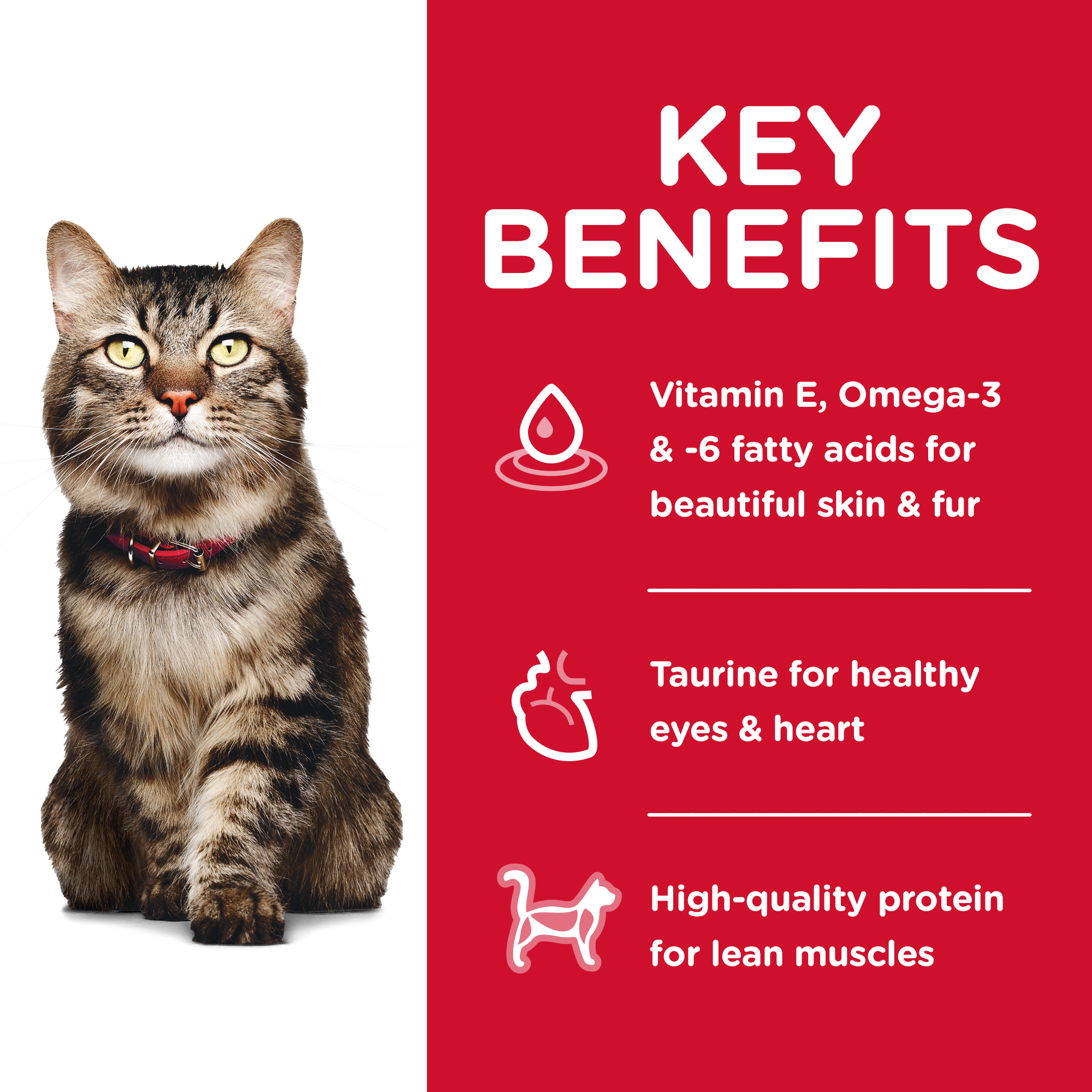 Hill's Science Diet Dry Cat Food Adult 7+ Senior Hairball Control