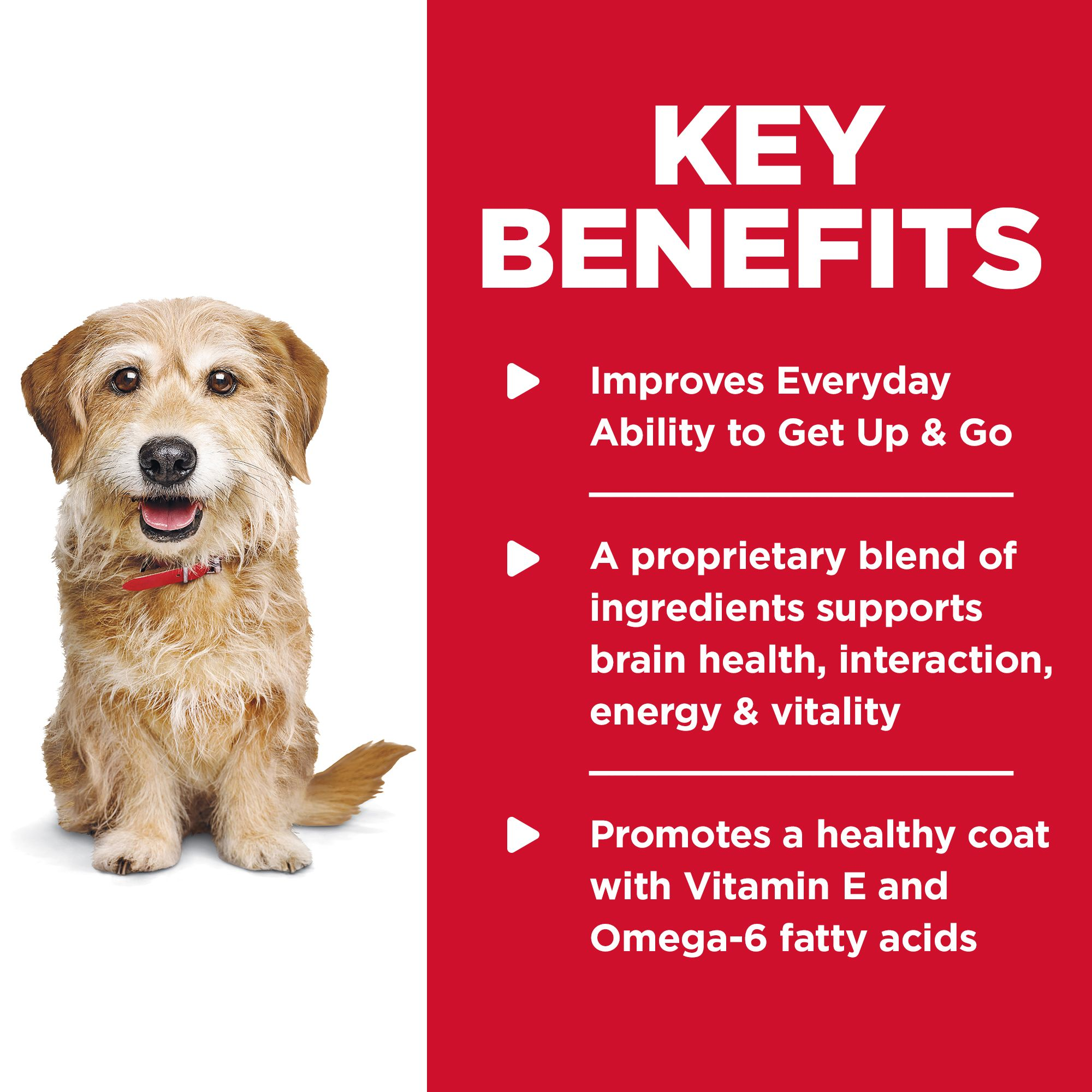 Hill's Science Diet Dry Dog Food Adult 7+ Senior Vitality Small & Mini