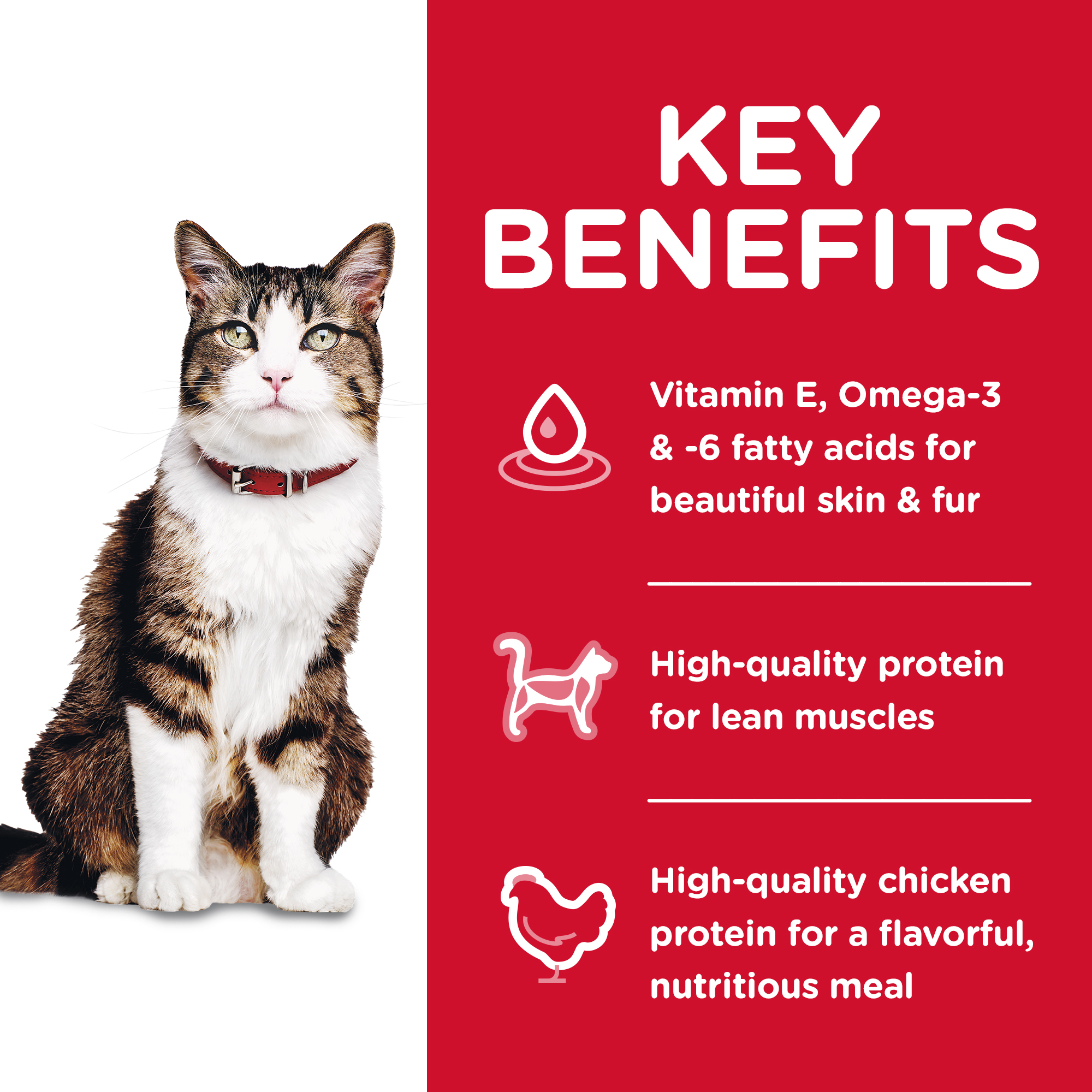 Hill's Science Diet Dry Cat Food Adult Hairball Control