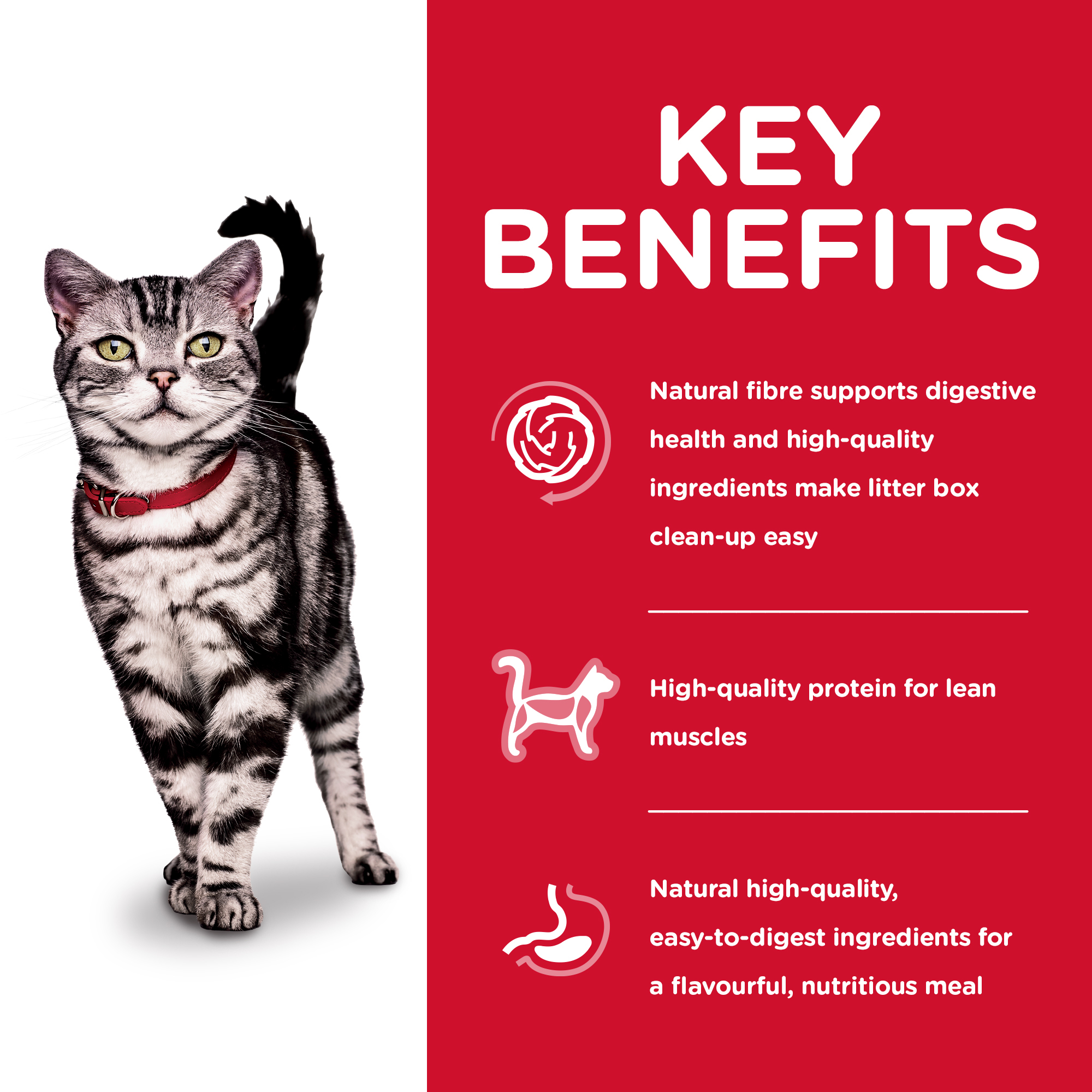 Hill's Science Diet Dry Cat Food Adult Indoor